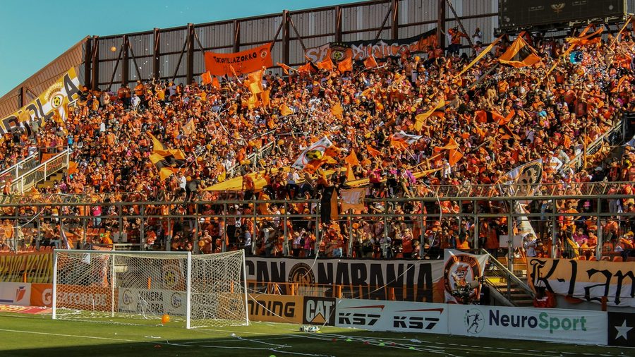 世界杯赔率 APP — 营业执照与资质公示示意配图